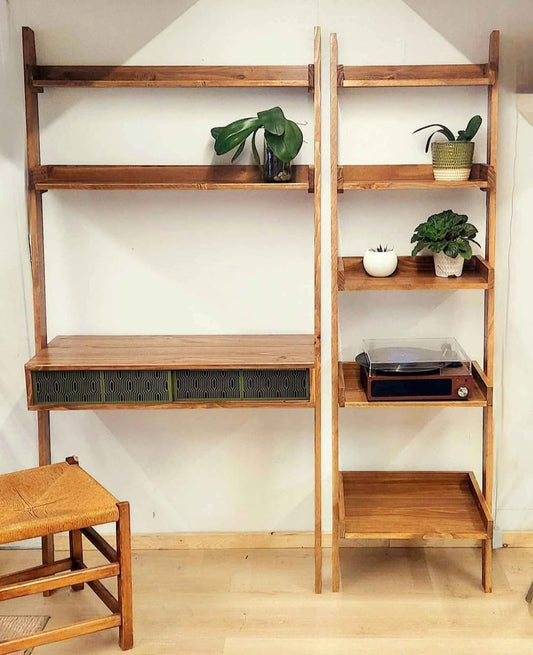 Ladder desk and shelf combination